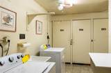 4775 Cove Circle - Photo 45