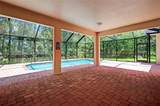 16102 Colchester Palms Drive - Photo 56