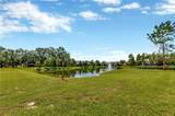 12710 Buffalo Run Drive - Photo 33