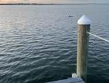 2201 Bay Club Circle - Photo 20