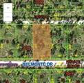 0 Belmonte Drive - Photo 1