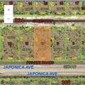 0 Japonica Drive - Photo 1