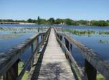 5125 Puritan Circle - Photo 49