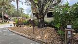 171 Appaloosa Trail - Photo 7