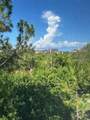 9810 Indian Key Trail - Photo 37