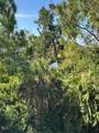 9810 Indian Key Trail - Photo 38