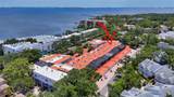 4965 Bayshore Boulevard - Photo 62