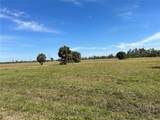 12360 Greenling Way - Photo 3