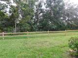 105 Palmetto Court - Photo 31