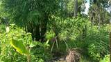 0 Sink Hole Road - Photo 15