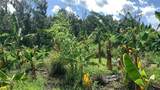0 Sink Hole Road - Photo 17