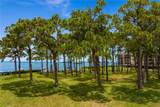 2700 Bayshore Boulevard - Photo 30