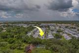 16940 Us Highway 19 - Photo 35