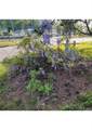 356 Evergreen Lane - Photo 28