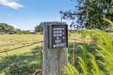 4416 Pippin Road - Photo 67
