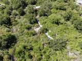 12020 Bullfrog Creek Road - Photo 4