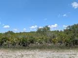  Sarasota Drive - Photo 1