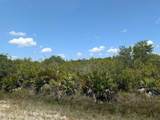  Sarasota Drive - Photo 3