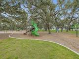 12925 Satin Lily Drive - Photo 49