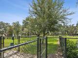 12925 Satin Lily Drive - Photo 53