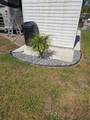 4669 Palm Drive - Photo 5