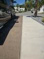 4669 Palm Drive - Photo 6