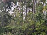 523 Azalea Drive - Photo 2