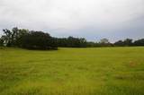 36641 Blanton Road - Photo 59
