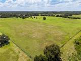 12410 Thonotosassa Road - Photo 6