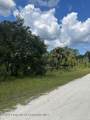 0 0 YELLOW FROG Avenue - Photo 2