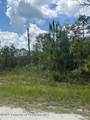 0 0 YELLOW FROG Avenue - Photo 3