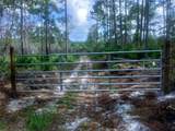  Sw 75Th St - Photo 4