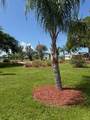 233 El Prado - Photo 6