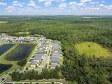 13223 Baby Belle Drive - Photo 49
