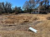 2903 Williams Boulevard - Photo 29