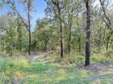 11096 Marsh Wren Avenue - Photo 5