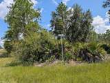 1113 Tropicana Drive - Photo 1