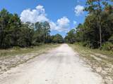 1113 Tropicana Drive - Photo 3