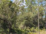 1113 Tropicana Drive - Photo 4