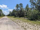 1113 Tropicana Drive - Photo 6