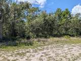 1113 Tropicana Drive - Photo 7