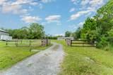 8647 Cross Creek Road - Photo 29