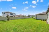 31954 Sapna Chime Drive - Photo 38