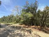  Gloria Avenue - Photo 7