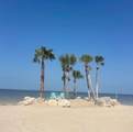 3734 Topsail Trail - Photo 45