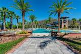 29868 Picana Lane - Photo 47
