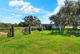  Limestone Heights Street - Photo 13