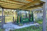 Limestone Heights Street - Photo 14