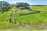  Limestone Heights Street - Photo 16