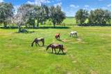  Limestone Heights Street - Photo 27